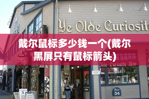 戴尔鼠标多少钱一个(戴尔黑屏只有鼠标箭头)