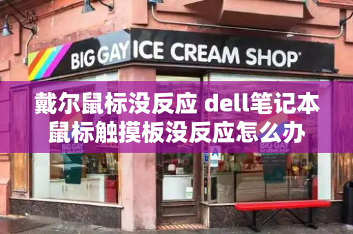 戴尔鼠标没反应 dell笔记本鼠标触摸板没反应怎么办