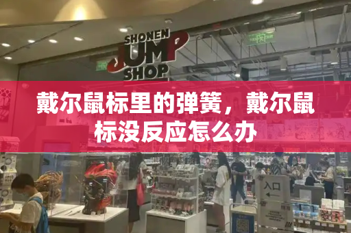 戴尔鼠标里的弹簧，戴尔鼠标没反应怎么办