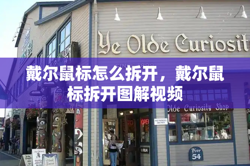 戴尔鼠标怎么拆开，戴尔鼠标拆开图解视频-第1张图片-星选测评