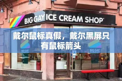 戴尔鼠标真假，戴尔黑屏只有鼠标箭头