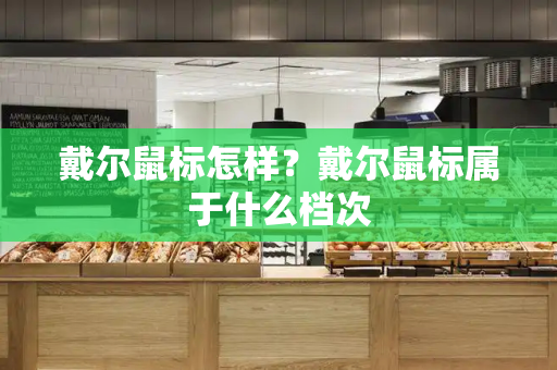 戴尔鼠标怎样？戴尔鼠标属于什么档次-第1张图片-星选测评