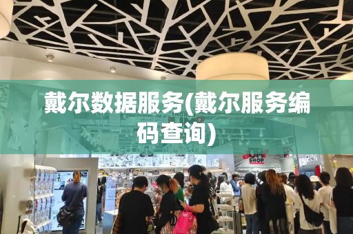 戴尔数据服务(戴尔服务编码查询)