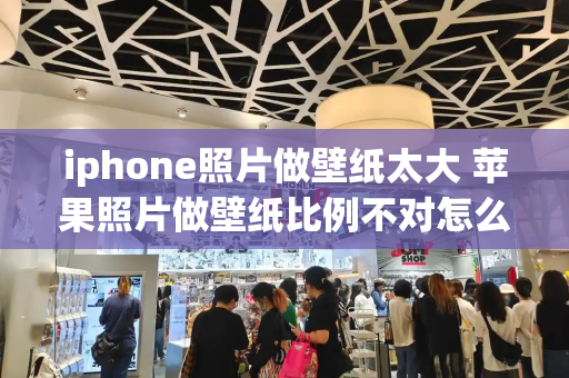 iphone照片做壁纸太大 苹果照片做壁纸比例不对怎么办