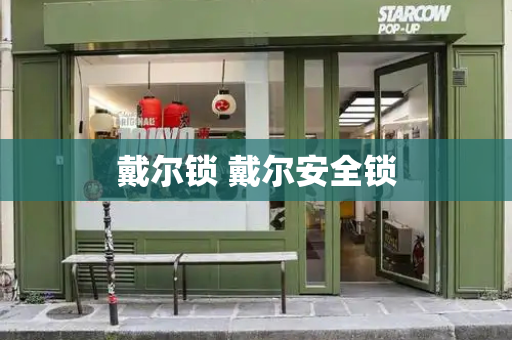 戴尔锁 戴尔安全锁-第1张图片-星选测评