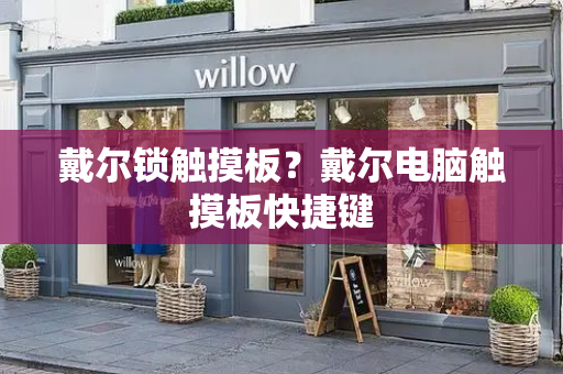 戴尔锁触摸板？戴尔电脑触摸板快捷键