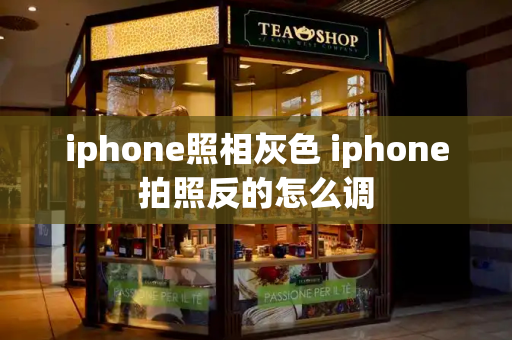 iphone照相灰色 iphone拍照反的怎么调