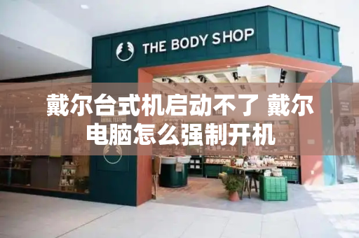 戴尔台式机启动不了 戴尔电脑怎么强制开机