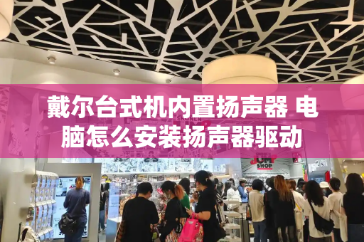 戴尔台式机内置扬声器 电脑怎么安装扬声器驱动