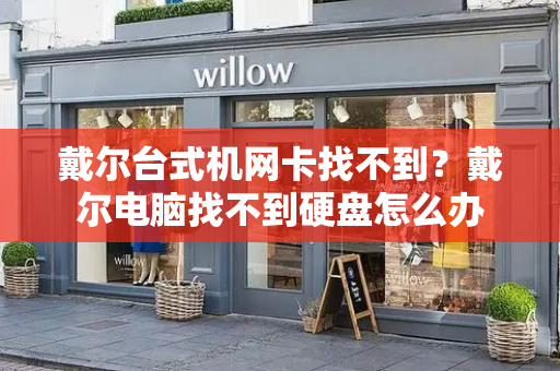 戴尔台式机网卡找不到？戴尔电脑找不到硬盘怎么办-第1张图片-星选测评