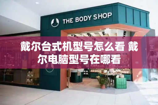 戴尔台式机型号怎么看 戴尔电脑型号在哪看-第1张图片-星选测评