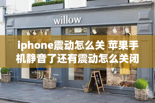 iphone震动怎么关 苹果手机静音了还有震动怎么关闭