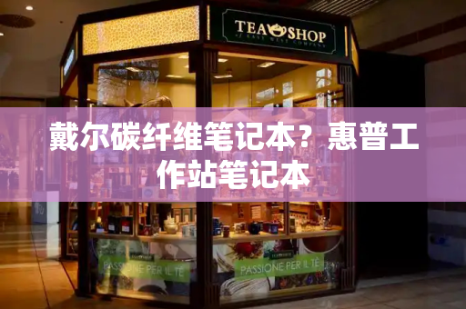 戴尔碳纤维笔记本？惠普工作站笔记本-第1张图片-星选测评