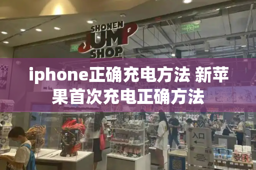 iphone正确充电方法 新苹果首次充电正确方法-第1张图片-星选测评