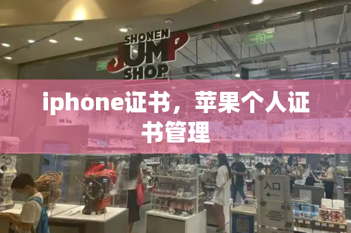 iphone证书，苹果个人证书管理-第1张图片-星选测评