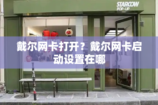 戴尔网卡打开？戴尔网卡启动设置在哪-第1张图片-星选测评