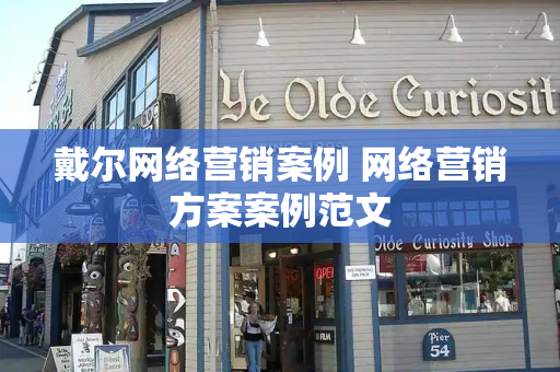 戴尔网络营销案例 网络营销方案案例范文