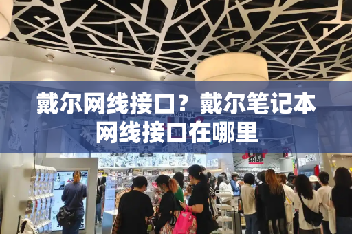 戴尔网线接口？戴尔笔记本网线接口在哪里-第1张图片-星选测评