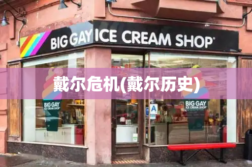 戴尔危机(戴尔历史)