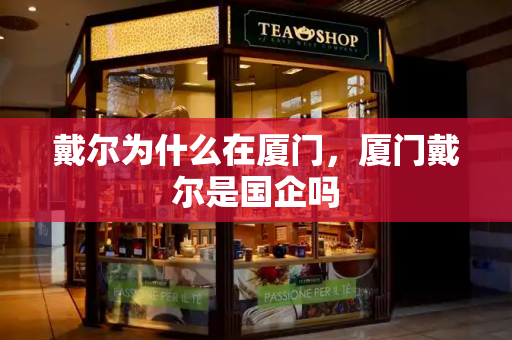 戴尔为什么在厦门，厦门戴尔是国企吗