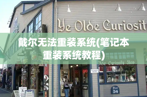戴尔无法重装系统(笔记本重装系统教程)-第1张图片-星选测评