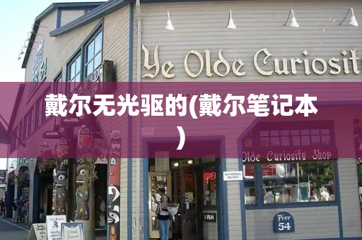 戴尔无光驱的(戴尔笔记本)-第1张图片-星选测评