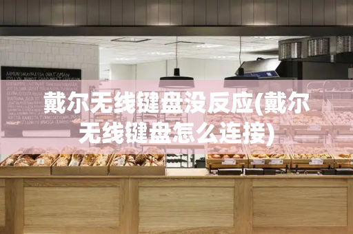 戴尔无线键盘没反应(戴尔无线键盘怎么连接)-第1张图片-星选测评