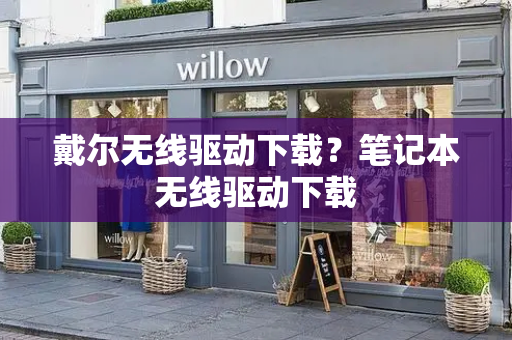 戴尔无线驱动下载？笔记本无线驱动下载-第1张图片-星选测评