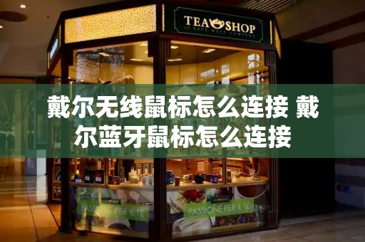 戴尔无线鼠标怎么连接 戴尔蓝牙鼠标怎么连接-第1张图片-星选测评