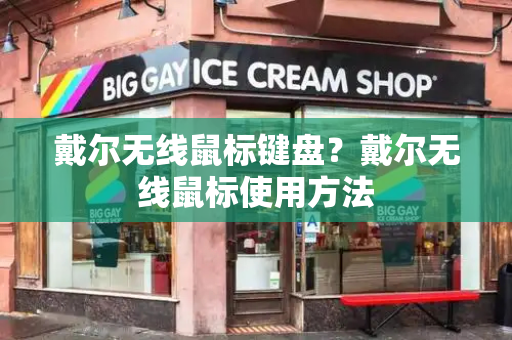 戴尔无线鼠标键盘？戴尔无线鼠标使用方法-第1张图片-星选测评