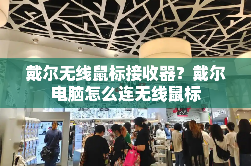 戴尔无线鼠标接收器？戴尔电脑怎么连无线鼠标