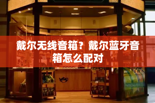 戴尔无线音箱？戴尔蓝牙音箱怎么配对-第1张图片-星选测评