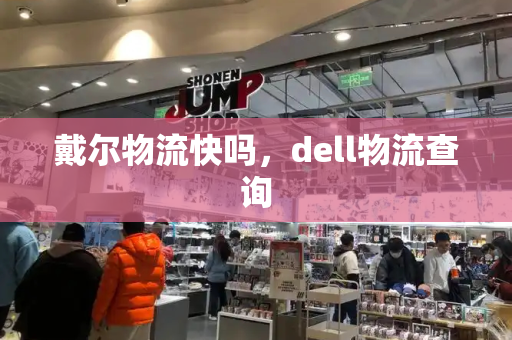 戴尔物流快吗，dell物流查询