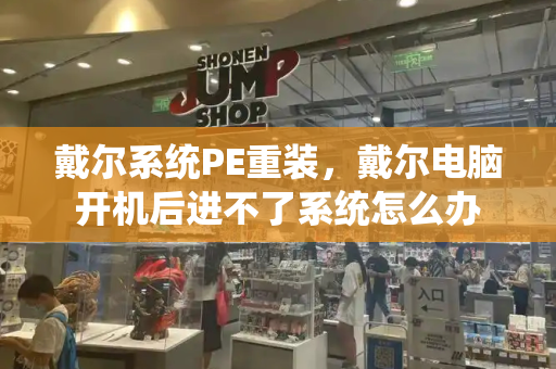戴尔系统PE重装，戴尔电脑开机后进不了系统怎么办