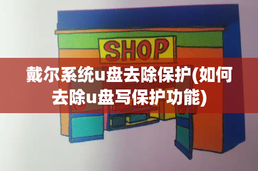 戴尔系统u盘去除保护(如何去除u盘写保护功能)-第1张图片-星选测评