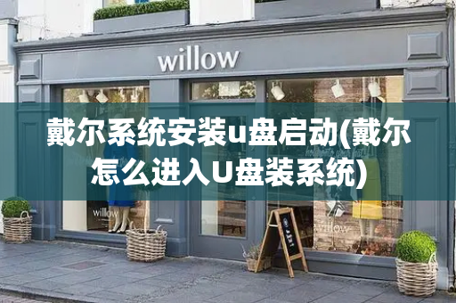 戴尔系统安装u盘启动(戴尔怎么进入U盘装系统)