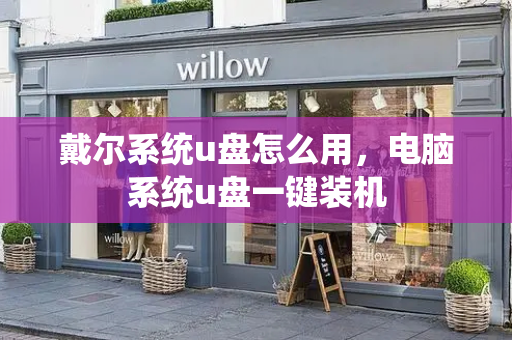 戴尔系统u盘怎么用，电脑系统u盘一键装机