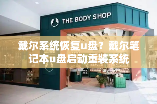戴尔系统恢复u盘？戴尔笔记本u盘启动重装系统