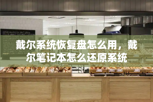 戴尔系统恢复盘怎么用，戴尔笔记本怎么还原系统-第1张图片-星选测评
