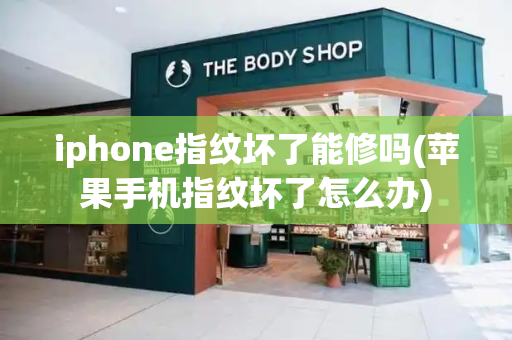 iphone指纹坏了能修吗(苹果手机指纹坏了怎么办)