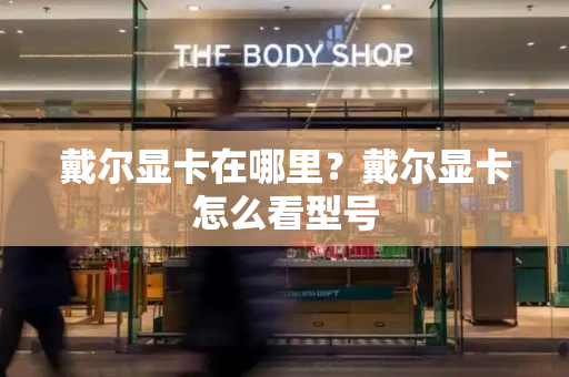 戴尔显卡在哪里？戴尔显卡怎么看型号-第1张图片-星选测评