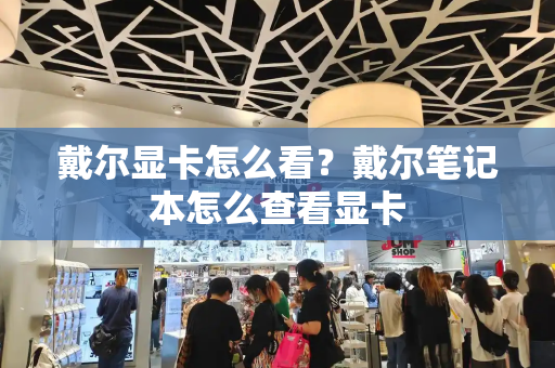 戴尔显卡怎么看？戴尔笔记本怎么查看显卡-第1张图片-星选测评