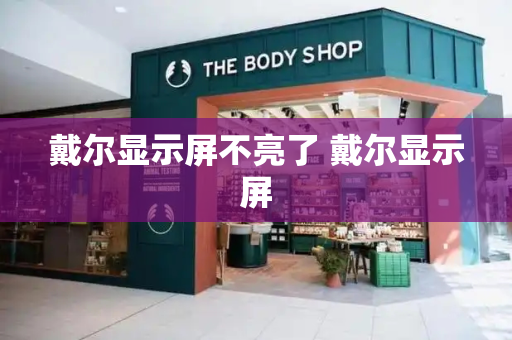 戴尔显示屏不亮了 戴尔显示屏