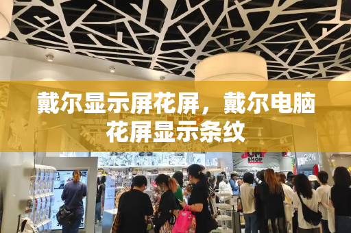 戴尔显示屏花屏，戴尔电脑花屏显示条纹