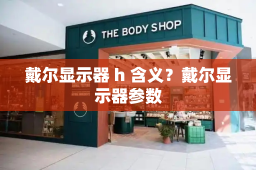 戴尔显示器 h 含义？戴尔显示器参数-第1张图片-星选测评