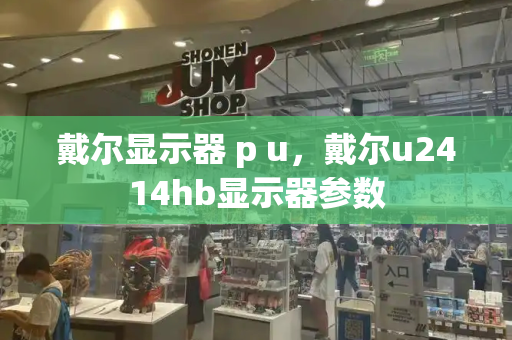 戴尔显示器 p u，戴尔u2414hb显示器参数