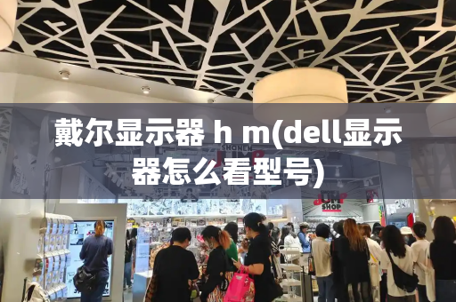 戴尔显示器 h m(dell显示器怎么看型号)