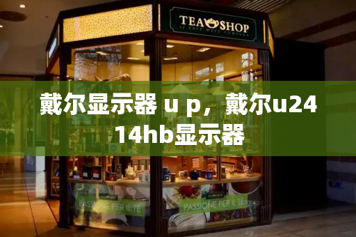戴尔显示器 u p，戴尔u2414hb显示器-第1张图片-星选测评