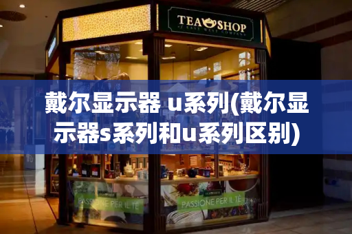 戴尔显示器 u系列(戴尔显示器s系列和u系列区别)-第1张图片-星选测评