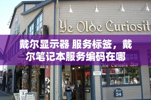 戴尔显示器 服务标签，戴尔笔记本服务编码在哪-第1张图片-星选测评